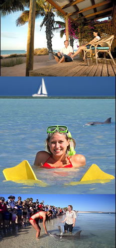 Monkey Mia Dolphin Resort - Kalgoorlie Accommodation 0