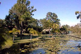 Twin Lakes Hotel - Kalgoorlie Accommodation 0