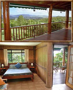 Atherton Blue Gum - Kalgoorlie Accommodation 0