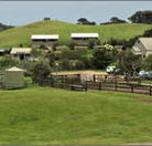 Ace Hi Riding Ranch - Kalgoorlie Accommodation