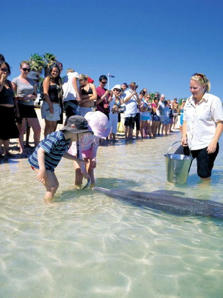Monkey Mia Dolphin Resort - Kalgoorlie Accommodation 1