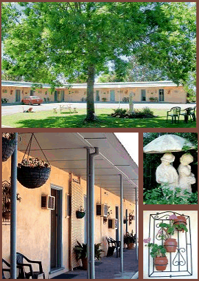 Arch Motel - Kalgoorlie Accommodation 2