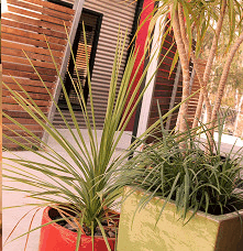 Adelphi Apartments - Kalgoorlie Accommodation 1