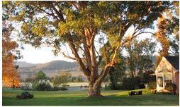 Belltrees Country House - Kalgoorlie Accommodation 2