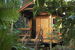 Cape Tribulation QLD Kalgoorlie Accommodation