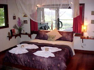 Daintree Cloud 9 - Kalgoorlie Accommodation 0