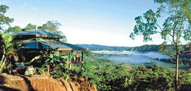 Daintree Cloud 9 - Kalgoorlie Accommodation 1