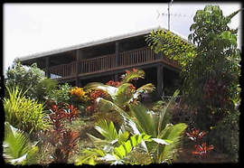 Daintree Manor - Kalgoorlie Accommodation 5