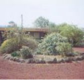 Beaufort Motel - Kalgoorlie Accommodation