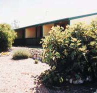 The Fig Tree Bed  Breakfast - Kalgoorlie Accommodation