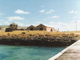 Mt Dutton Bay Woolshed Hostel - Kalgoorlie Accommodation 0