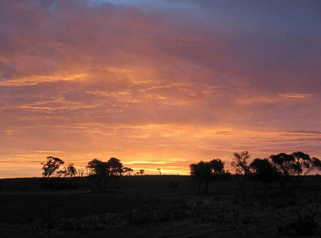 Willangi Bush Escapes - Kalgoorlie Accommodation 1