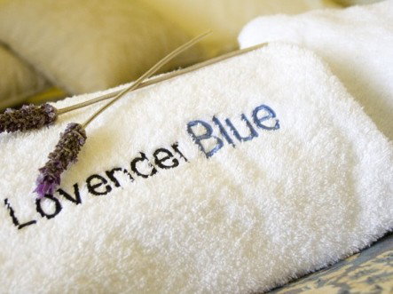 Lavender Blue Country Apartments - Kalgoorlie Accommodation 3