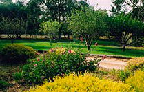 Naracoorte Cottages - Pinkerton Hill - Kalgoorlie Accommodation 2