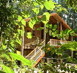 Rivers Edge Rainforest Retreat - Kalgoorlie Accommodation