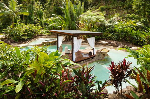 Misty Mountains Tropical Rainforest Romantic Retreat - Kalgoorlie Accommodation 3