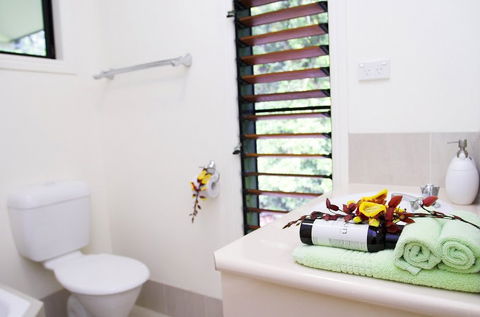 Misty Mountains Tropical Rainforest Romantic Retreat - Kalgoorlie Accommodation 5