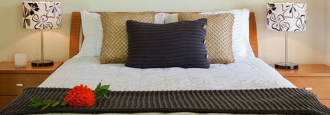 Misty Mountains Tropical Rainforest Romantic Retreat - Kalgoorlie Accommodation 7