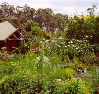 Plovers Ridge Country Retreat - Kalgoorlie Accommodation