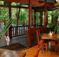 Daintree Wilderness Lodge - Kalgoorlie Accommodation
