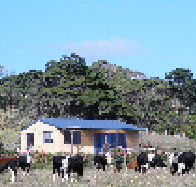 Marrawah Beach House - Kalgoorlie Accommodation