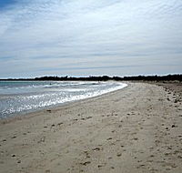 Greens Beach Caravan Park - Kalgoorlie Accommodation