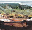 Morella Island Retreats P/L - Kalgoorlie Accommodation