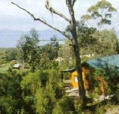 Partridge Farm - Kalgoorlie Accommodation