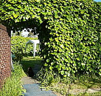 Kirra Guest House - Kalgoorlie Accommodation