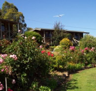 Mole Creek Holiday Village - Kalgoorlie Accommodation