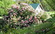 Conmel Cottage - thumb 2