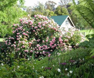 Conmel Cottage - Kalgoorlie Accommodation 2