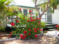 Gee Dees Family Cabins - Kalgoorlie Accommodation 2