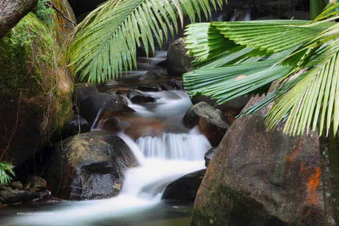 Daintree Secrets (Award Winning Retreat) - Kalgoorlie Accommodation 1