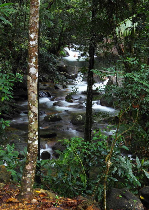 Daintree Secrets (Award Winning Retreat) - Kalgoorlie Accommodation 2