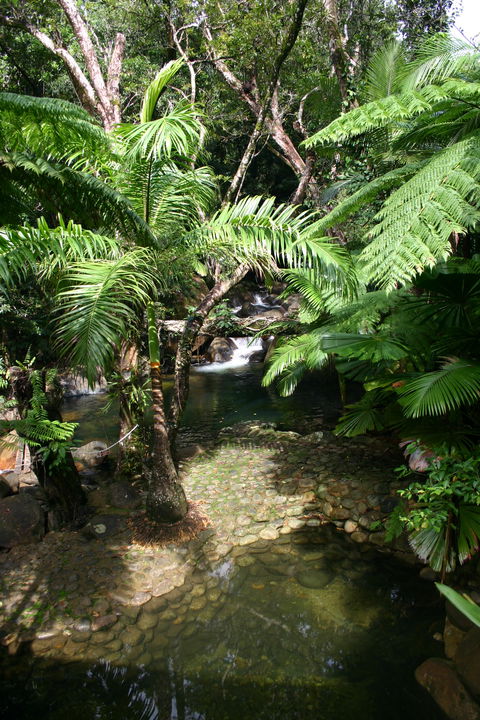 Daintree Secrets (Award Winning Retreat) - Kalgoorlie Accommodation 4