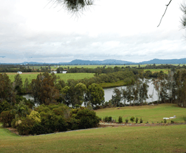Bimbimbi Riverside Caravan Park - Kalgoorlie Accommodation 0