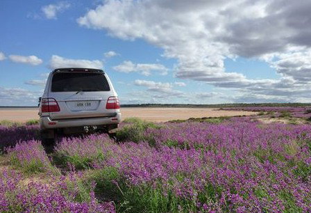 Pincally Station - Kalgoorlie Accommodation 1