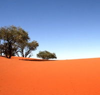 Theldarpa Stationstay - Kalgoorlie Accommodation