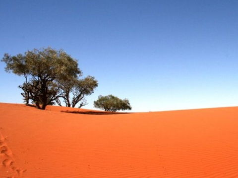 Theldarpa Stationstay - Kalgoorlie Accommodation 0