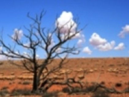 Theldarpa Stationstay - Kalgoorlie Accommodation 1