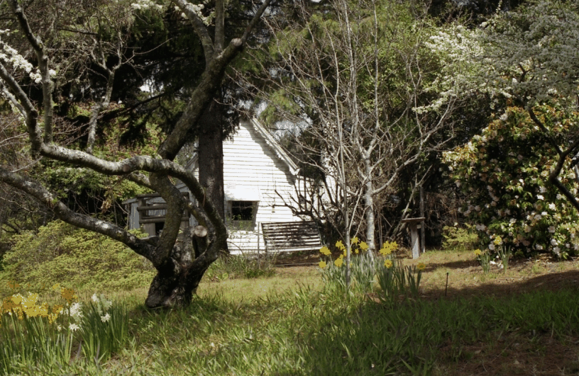 Avoca Cottage - Kalgoorlie Accommodation 3