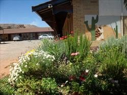 Silver Spade Motel - Kalgoorlie Accommodation 3