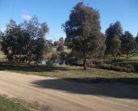 Delegate Caravan Park - Kalgoorlie Accommodation 0
