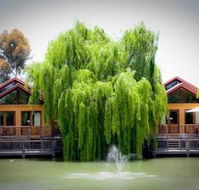 Perricoota Vines Retreat - Kalgoorlie Accommodation