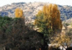 Birches Bed And Breakfast At Nundle - Kalgoorlie Accommodation 0