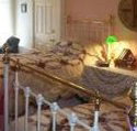 A Winter-Rose Cottage Bed and Breakfast - Kalgoorlie Accommodation