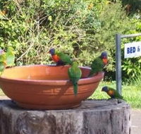 Lamb Island Bed and Breakfast - Kalgoorlie Accommodation