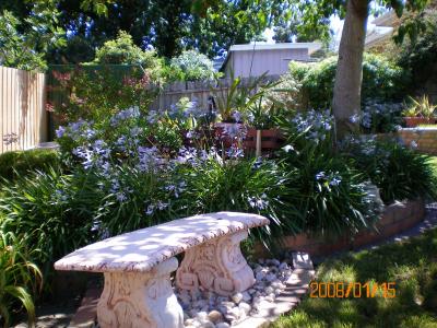 Austin Rise Bed And Breakfast - Kalgoorlie Accommodation 4