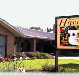 Begonia City Motor Inn - Kalgoorlie Accommodation